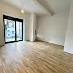 Rent 2 bedroom apartment of 53 m² in Graz