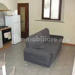 Rent 2 bedroom apartment of 55 m² in Cremona