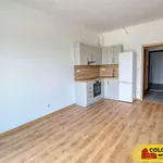 Pronajměte si 1 ložnic/e byt o rozloze 25 m² v Znojmo