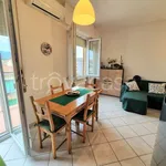 Rent 2 bedroom apartment of 57 m² in Firenze