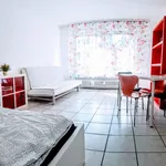 Rent 1 bedroom apartment of 30 m² in Dortmund