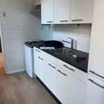 Huur 2 slaapkamer appartement van 65 m² in Haarlem