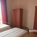 Rent 3 bedroom apartment of 90 m² in Capalbio