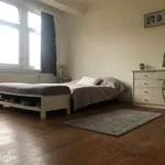  appartement avec 1 chambre(s) en location à BERCHEM