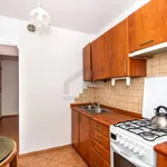 Rent 3 bedroom apartment of 47 m² in Poznan