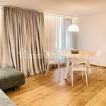 Rent 2 bedroom apartment of 70 m² in Treviso