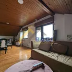 Rent 5 bedroom house of 150 m² in City of Zagreb