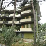 Affitto 3 camera appartamento di 63 m² in Cervia