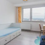 Rent 1 bedroom apartment in Praha 8