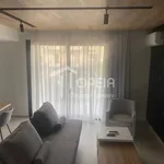 Rent 1 bedroom apartment of 55 m² in Vari Municipal Unit