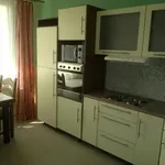 Rent 1 bedroom apartment of 36 m² in Ústí nad Labem