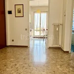 Rent 2 bedroom apartment of 50 m² in Milano