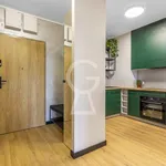 Rent 2 bedroom apartment of 40 m² in Wrocław