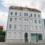 Rent 2 bedroom apartment of 53 m² in Chemnitz