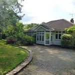 Rent 4 bedroom house in South East England