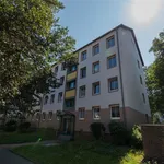 Rent 3 bedroom apartment of 60 m² in Chemnitz