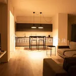 Rent 5 bedroom apartment of 300 m² in Piacenza