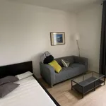 Appartement de 29 m² avec 1 chambre(s) en location à Saint-Étienne