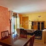 Rent 3 bedroom apartment of 103 m² in Casamassima