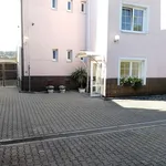 Rent 2 bedroom apartment of 41 m² in Brno