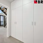 Rent 4 bedroom apartment of 95 m² in Brno