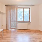 Rent 3 bedroom apartment in Brno