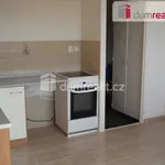 Rent 1 bedroom apartment of 37 m² in Ústí nad Labem