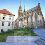 Rent 2 bedroom apartment of 42 m² in Brno