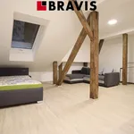 Rent 1 bedroom apartment of 50 m² in Brno