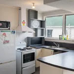 Rent 5 bedroom apartment in Dunedin