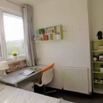 Rent 1 bedroom apartment in Coventry