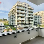 Rent 1 bedroom apartment in Praha