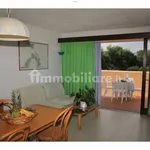 Rent 3 bedroom apartment of 60 m² in Olbia