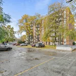 Rent 1 bedroom apartment in Windsor, ON