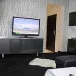 Rent 2 bedroom apartment of 55 m² in Plzeň