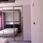 Rent 1 bedroom apartment of 55 m² in Roma