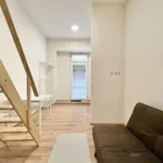 Rent 1 bedroom apartment of 23 m² in Brno