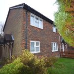 Rent 1 bedroom flat in New Forest