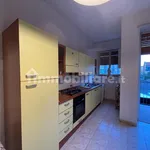 Rent 3 bedroom apartment of 80 m² in Turin