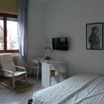 Rent a room of 115 m² in Milano