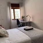 Rent a room of 100 m² in lisbon