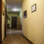 Rent a room of 360 m² in rome