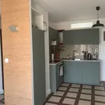 Rent 3 bedroom apartment of 58 m² in Lyon