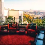 Rent 1 bedroom apartment in Guanajuato