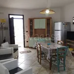 Rent 3 bedroom apartment of 82 m² in Ugento