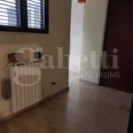 Rent 2 bedroom apartment of 90 m² in Catania