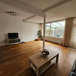 Rent 5 bedroom house of 121 m² in Haarlem