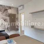 Rent 2 bedroom apartment of 50 m² in Cuneo