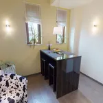 Rent 1 bedroom apartment of 44 m² in stuttgart