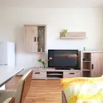 Pronajměte si 1 ložnic/e byt o rozloze 34 m² v Prague